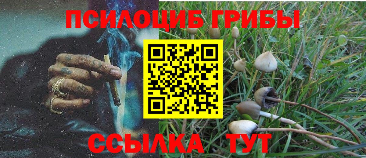 Псилоцибиновые грибы GOLDEN TEACHER  Галлюциногенные грибы Psilocybe  Вход с VPN  Югорск 